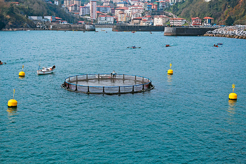 Fish farming – a sustainable future